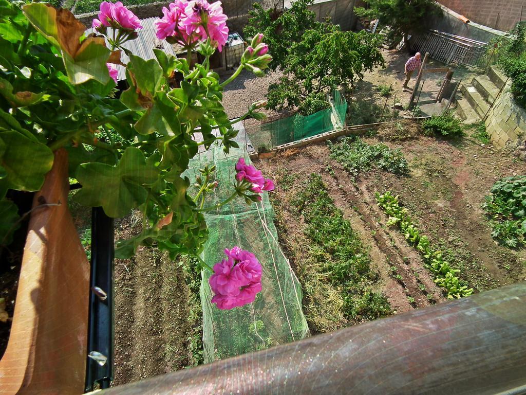 Casa Catharina Bed & Breakfast ลาเซวดูร์เชย์ ภายนอก รูปภาพ